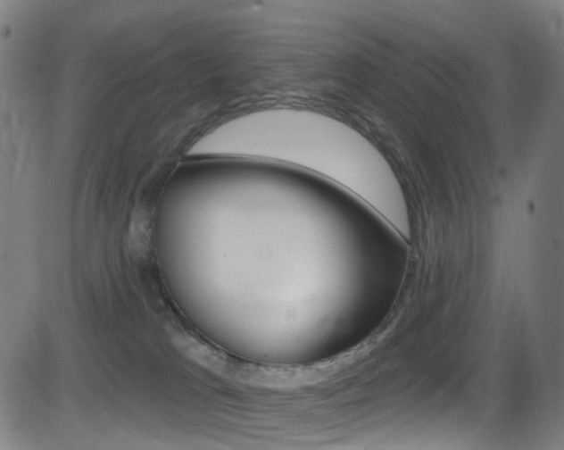X0000081300037200701110945