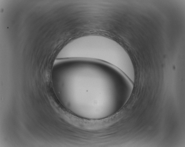 X0000081300039200701110945