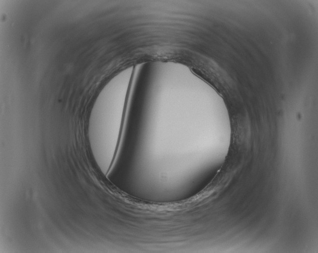 X0000081300044200701110945