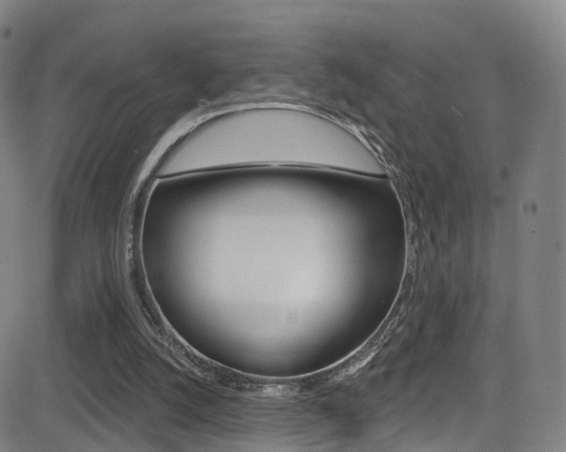 X0000081300056200701110944