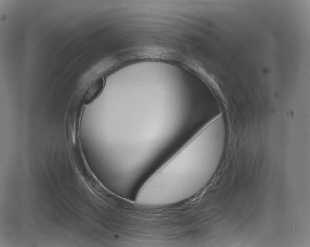 X0000081300062200701110944