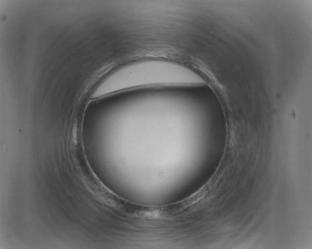 X0000081300068200701110944