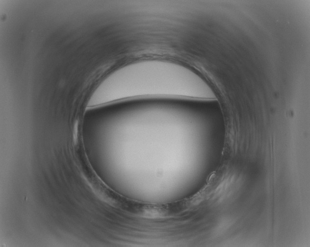 X0000081300070200701110944