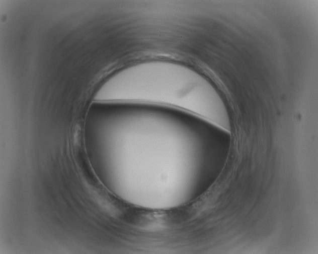 X0000081300071200701110944
