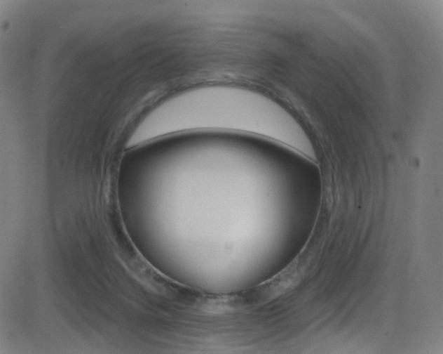 X0000081300072200701110944