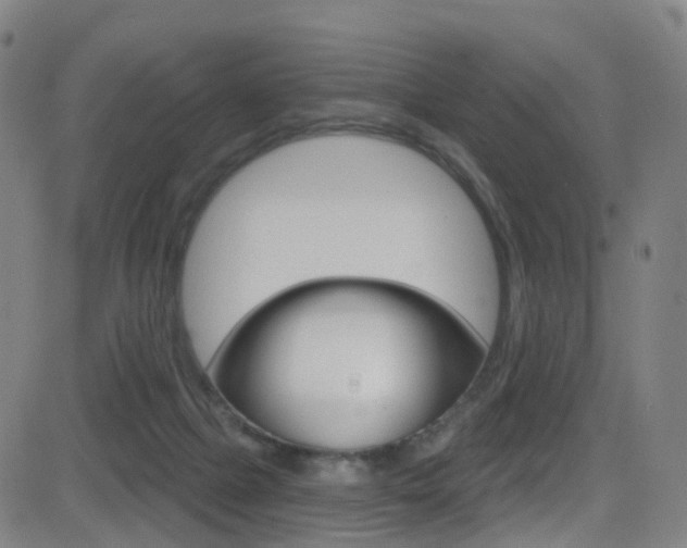 X0000081300073200701110944