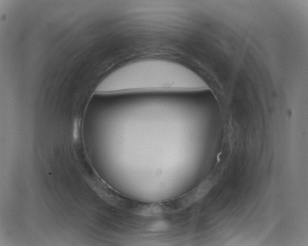 X0000081300075200701110944