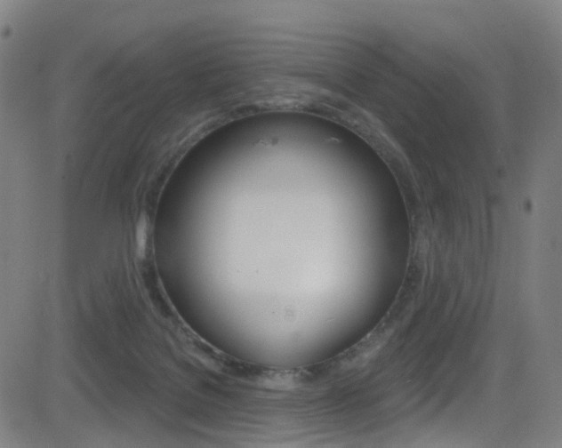 X0000081300076200701110944