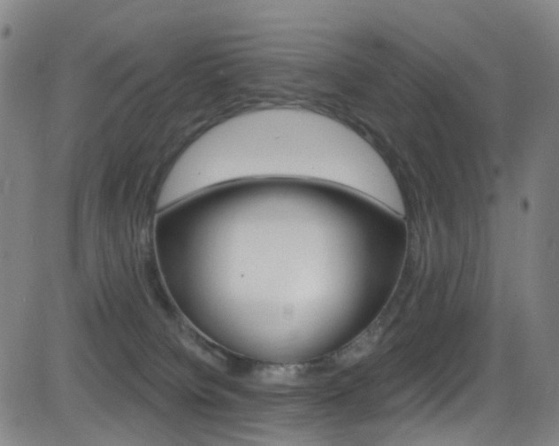 X0000081300084200701110945