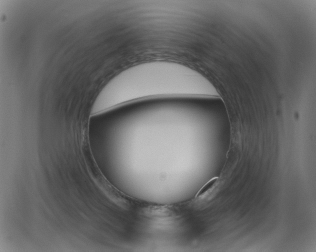 X0000081300086200701110945