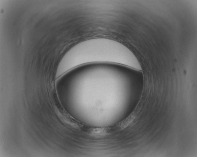 X0000081300088200701110945
