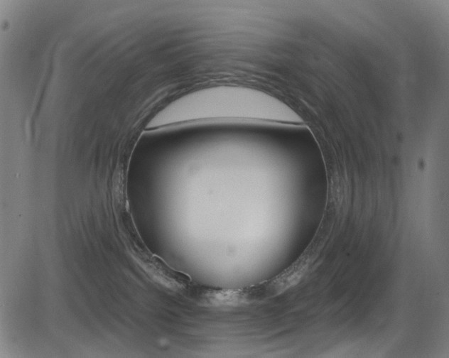 X0000081300092200701110945