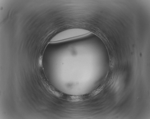 X0000081300095200701110945