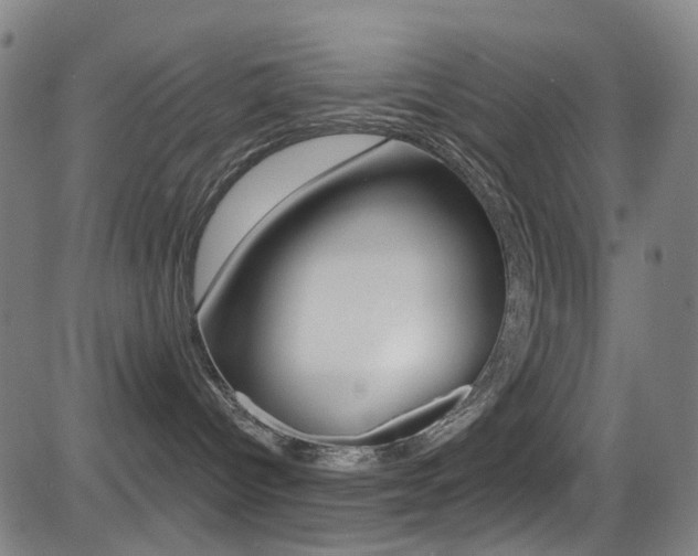 X0000081300096200701110945