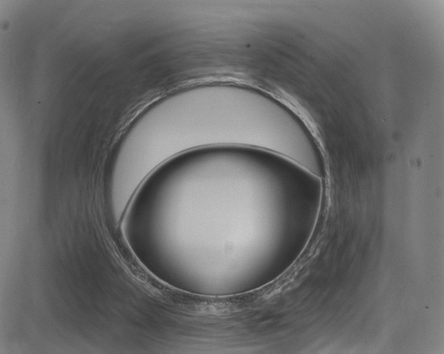 X0000081300105200701110944