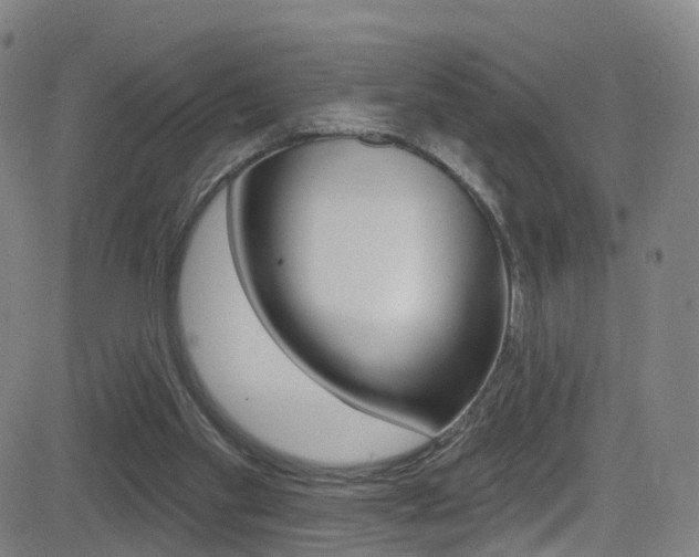 X0000081300109200701110944