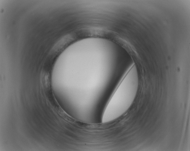 X0000081300123200701110944