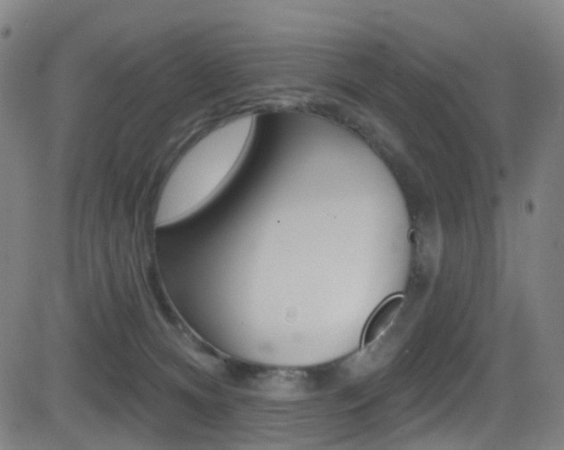 X0000081300128200701110943
