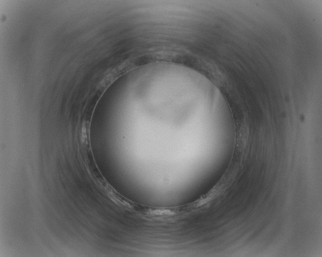 X0000081300137200701110943