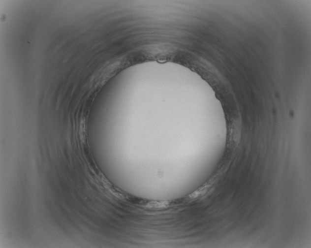 X0000081300138200701110943