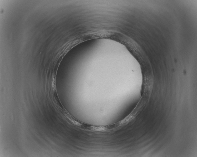 X0000081300143200701110943