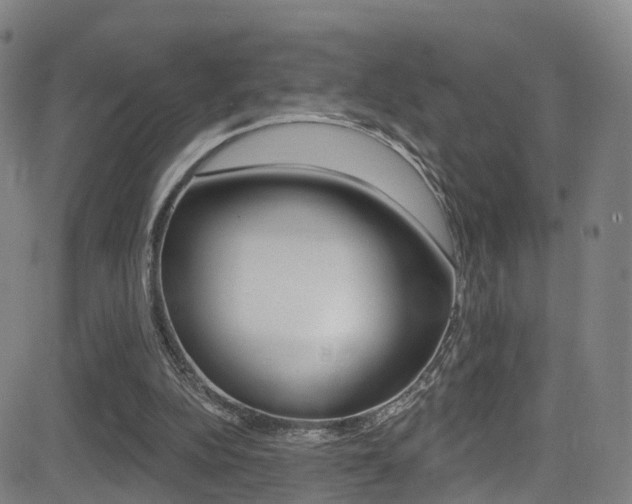 X0000081300152200701110943