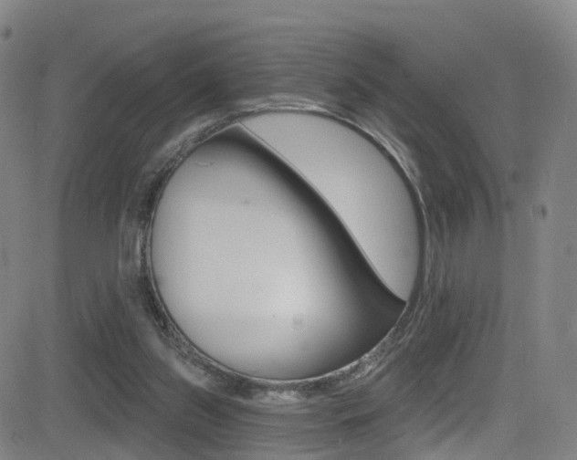 X0000081300157200701110943