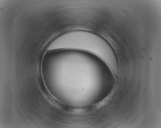 X0000081300158200701110943