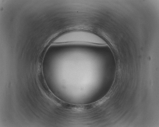 X0000081300164200701110943