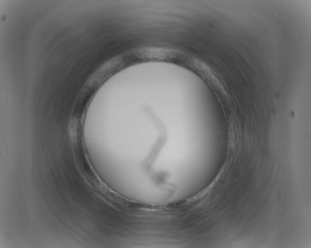 X0000081300167200701110943
