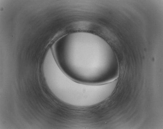 X0000081300168200701110943