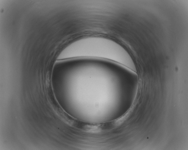 X0000081300170200701110943