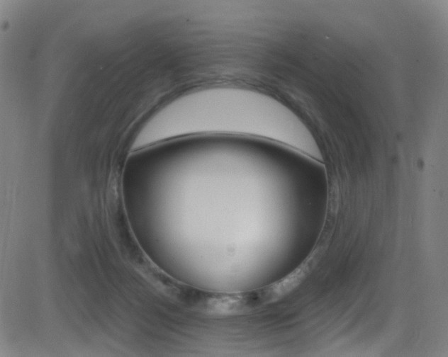 X0000081300172200701110943