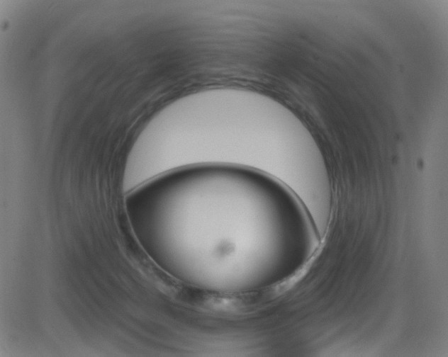 X0000081300174200701110943