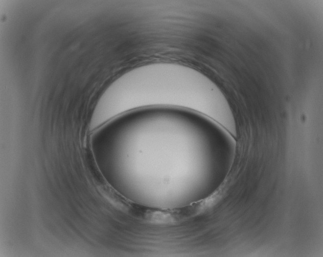 X0000081300180200701110943
