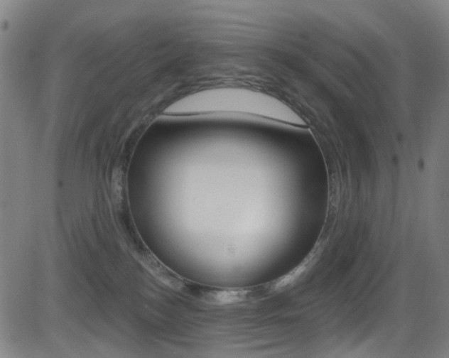X0000081300184200701110943
