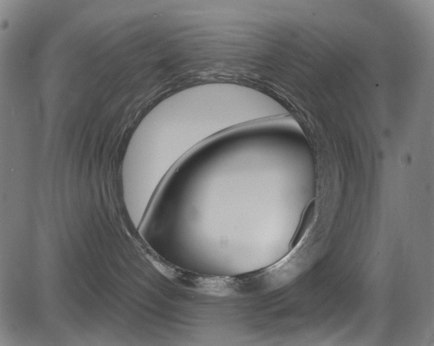 X0000081300192200701110943