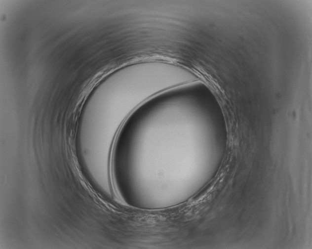 X0000081300193200701110942