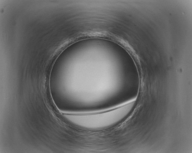 X0000081300201200701110942