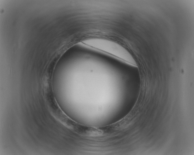 X0000081300215200701110942