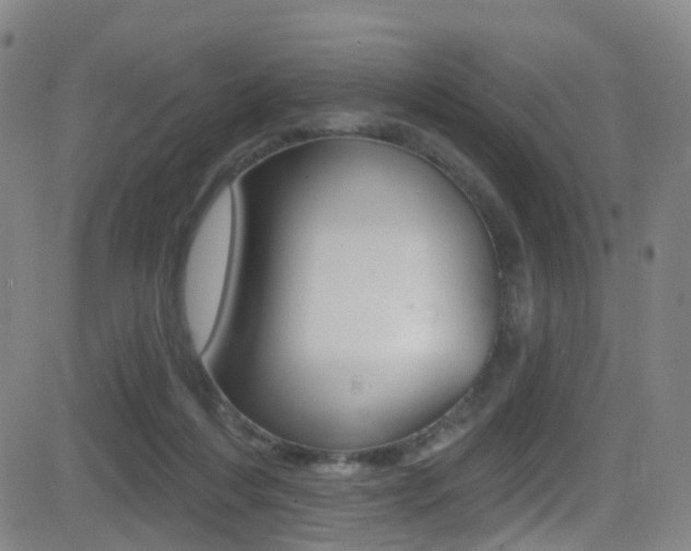 X0000081300216200701110942