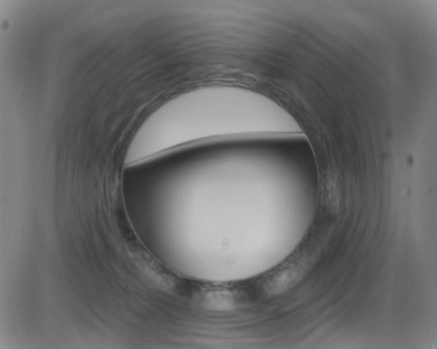X0000081300228200701110942