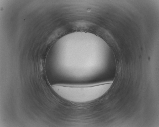 X0000081300232200701110942