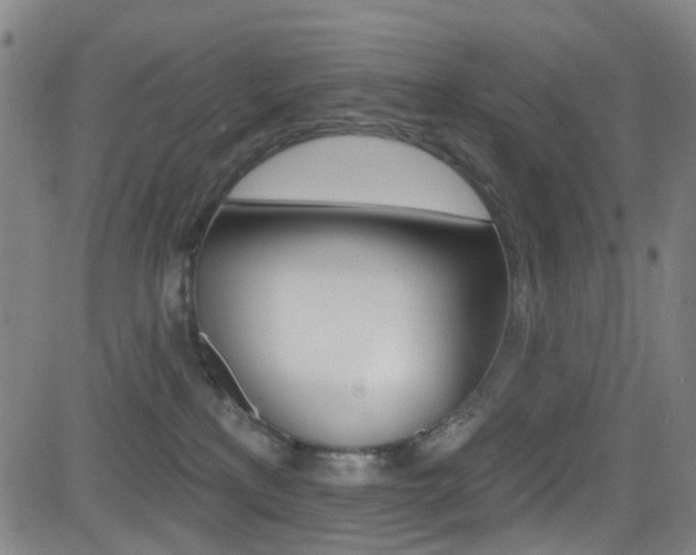 X0000081300233200701110942