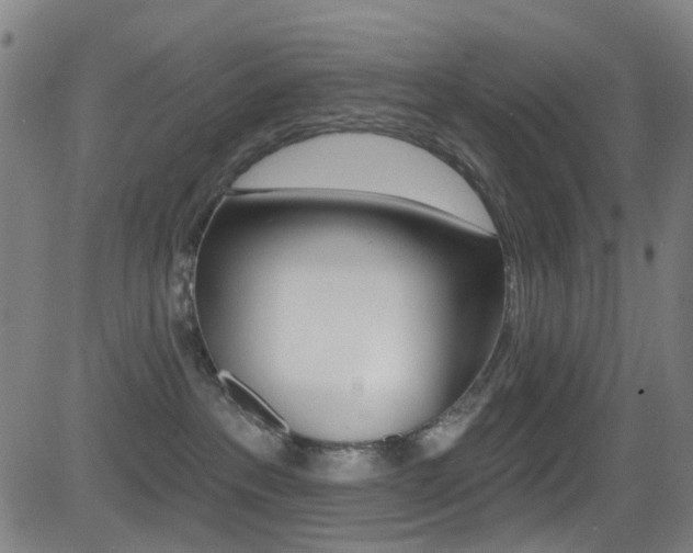 X0000081300237200701110942