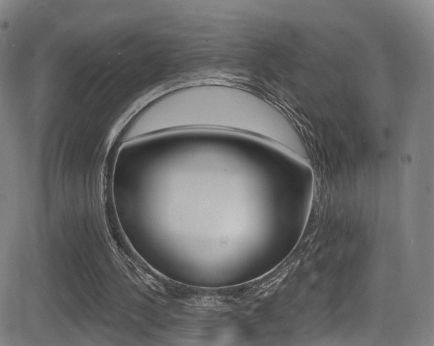 X0000081300244200701110941