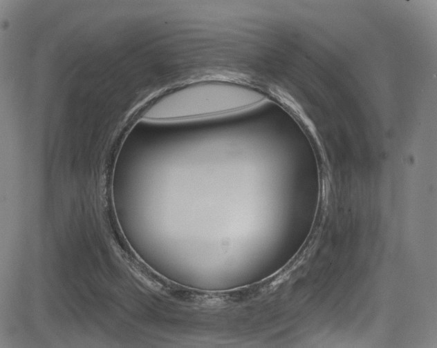 X0000081300249200701110941