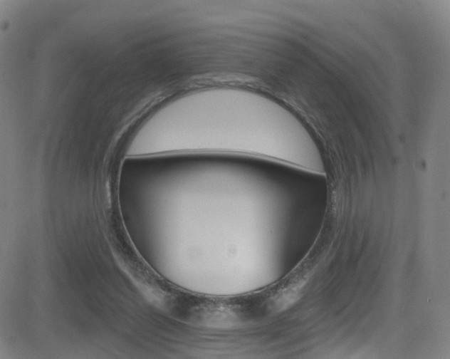 X0000081300254200701110941