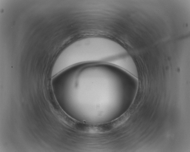X0000081300264200701110941