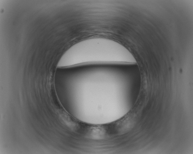 X0000081300275200701110941